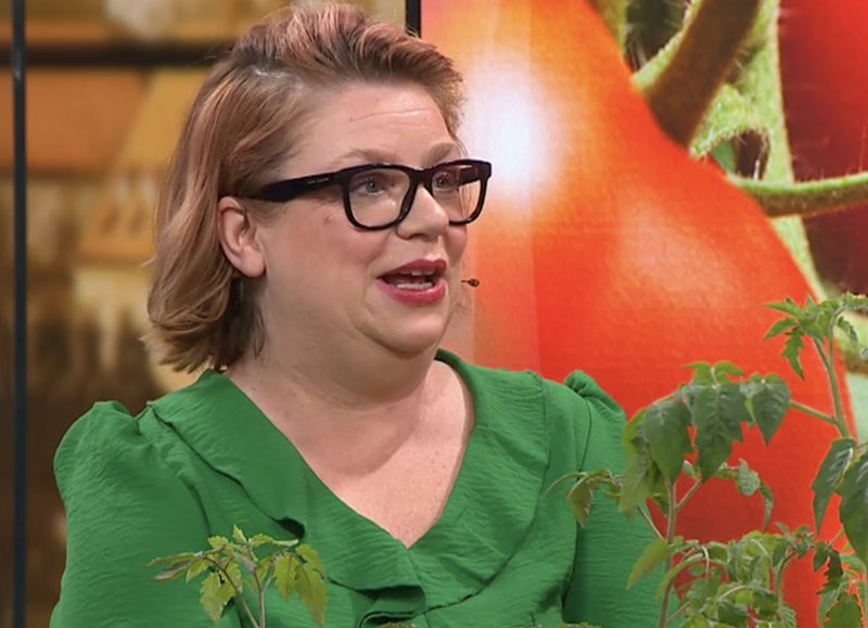 Tomatodlaren Johanna Gilljam menar att urin, även kallat guldvatten, är utmärkt växtnäring åt dina tomatplantor. Foto: Skärmavbild TV4 Tomatodlaren Johanna Gilljam menar att urin, även kallat guldvatten, är utmärkt växtnäring åt dina tomatplantor. Foto: Skärmavbild TV4